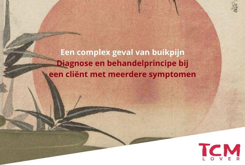 Een complex geval van buikpijn: diagnose en behandelprincipe bij een cliënt met meerdere symptomen