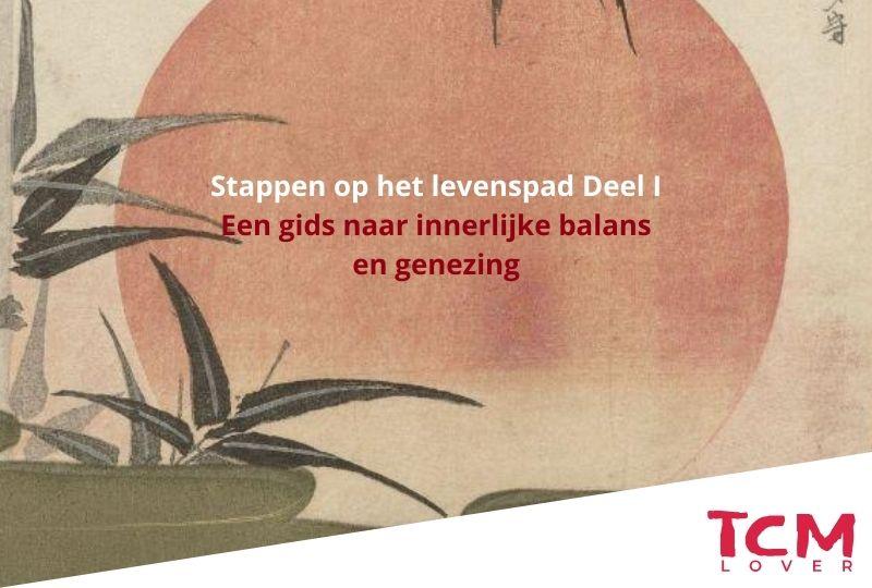 Stappen op het levenspad: een gids naar innerlijke balans en genezing – Deel II